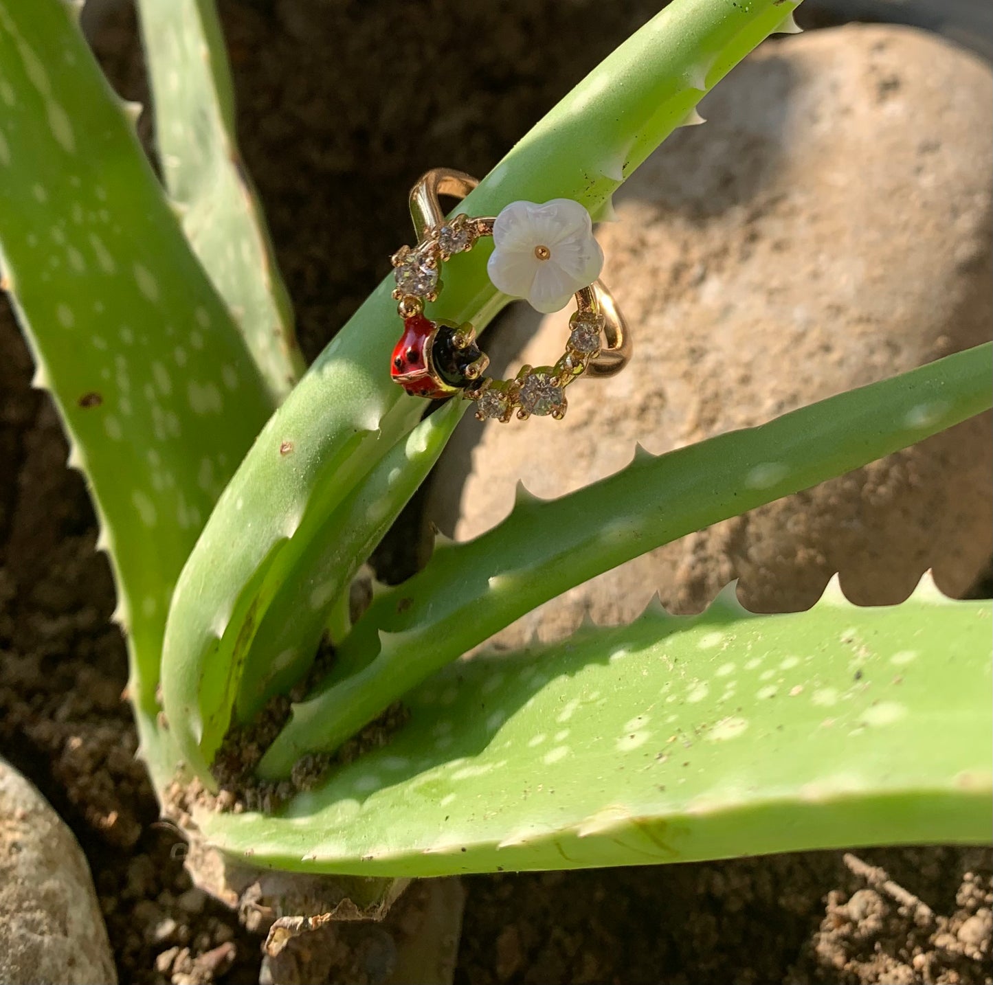 bague Cocci